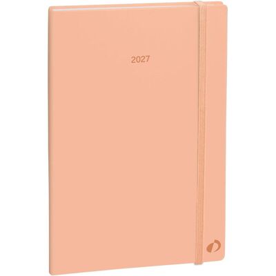 Quo Vadis, Agenda, MINISTER COLOR ML Pastel Quo Vadis, Agenda, MINISTER COLOR ML Pastel