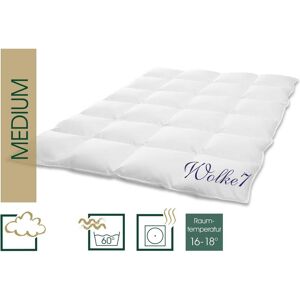 Hanskruchen, Duvet, Wolke 7 (1740 g, 260 x 220 cm, Daune) Hanskruchen, Duvet, Wolke 7 (1740 g, 260 x 220 cm, Daune)