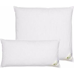 BettwarenShop, Kopfkissen, Select (40 x 80 cm) BettwarenShop, Kopfkissen, Select (40 x 80 cm)
