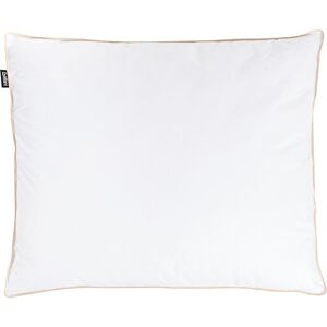 Beliani, Kopfkissen, Etna (60 x 50 cm) Beliani, Kopfkissen, Etna (60 x 50 cm)