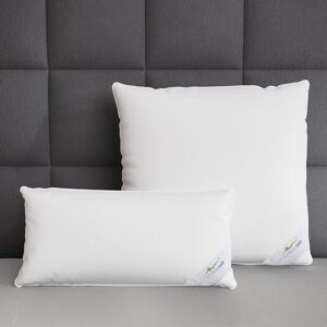 BettwarenShop, Kopfkissen, Comfort (65 x 100 cm) BettwarenShop, Kopfkissen, Comfort (65 x 100 cm)