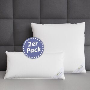 BettwarenShop, Kopfkissen, Premium (50x70 cm) BettwarenShop, Kopfkissen, Premium (50x70 cm)