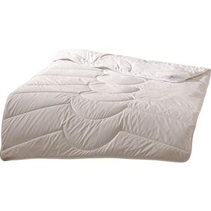 Traumschlaf, Duvet, Schurwolle Nature (1300 g, 135 x 200 cm) Traumschlaf, Duvet, Schurwolle Nature (1300 g, 135 x 200 cm)
