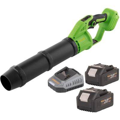 Procraft, Laubsauger + Laubbläser, PB24bb Akku Laubbläser 20 V Brushless + 2x Akku 4,0 Ah + Ladegerät (Akkubetrieb, Laubbläser) Procraft, Laubsauger + Laubbläser, PB24bb Akku Laubbläser 20 V Brushless + 2x Akku 4,0 Ah + Ladegerät (Akkubetrieb, Laubbläser)