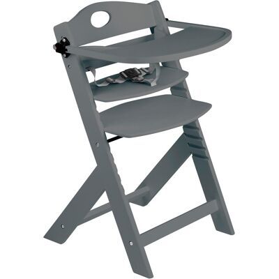 BabyGo, Hochstuhl, Family Pro grey (Hochstuhl) BabyGo, Hochstuhl, Family Pro grey (Hochstuhl)