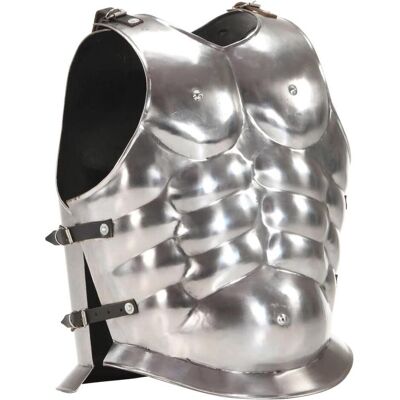 vidaXL Römischer Soldaten-Kürass - Körperpanzer für LARP & Cosplay vidaXL Römischer Soldaten-Kürass - Körperpanzer für LARP & Cosplay