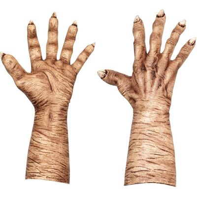 Ghoulish Hand Accessoire Wicked Witch Meat Einheitsgrösse Ghoulish Hand Accessoire Wicked Witch Meat Einheitsgrösse