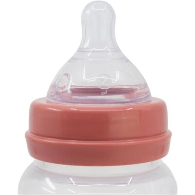 Disney Interactive Studios, Babyflasche, Set Von 2 Flaschen 360 ml Silikonschnuller Mit 3 Positionen Minnie Collector (360 ml) Disney Interactive Studios, Babyflasche, Set Von 2 Flaschen 360 ml Silikonschnuller Mit 3 Positionen Minnie Collector (360 ml)