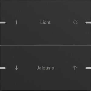 Gira, Zubehör Schalterprogramm, Wippenset 2f indiv. Tastsens.4 TS4 5032905 Gira, Zubehör Schalterprogramm, Wippenset 2f indiv. Tastsens.4 TS4 5032905