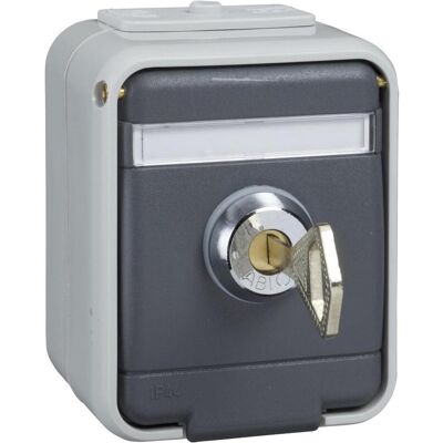 Elso AP-Set 2x Steckdose - Elektrische Steckdosen-Set Elso AP-Set 2x Steckdose - Elektrische Steckdosen-Set
