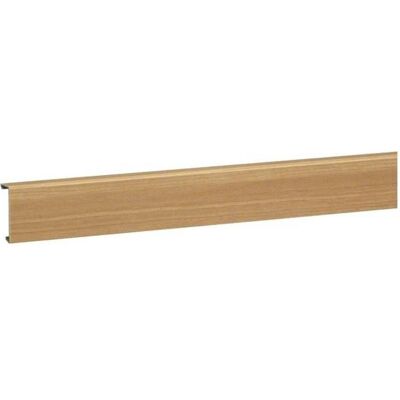 Tehalit SL 200552D2 Buche - 2 Meter Kabelkanal - IP40 Tehalit SL 200552D2 Buche - 2 Meter Kabelkanal - IP40
