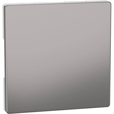 Merten Nickelmetallische Wandplatte - Schalterabdeckung Merten Nickelmetallische Wandplatte - Schalterabdeckung