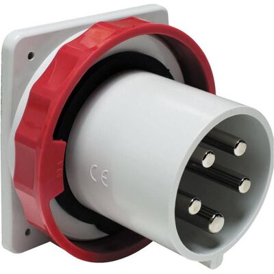 Schneider Electric 81895 - Anbaugerätestecker gerade, 125A, 3p+N+E 81895 Schneider Electric 81895 - Anbaugerätestecker gerade, 125A, 3p+N+E 81895
