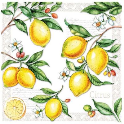 Ambiente, Servietten, Zitrusfrucht (33 x 33 cm) Ambiente, Servietten, Zitrusfrucht (33 x 33 cm)