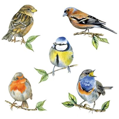 Ambiente, Servietten, Heimische Vögel (20 Stk., 33 x 33 cm) Ambiente, Servietten, Heimische Vögel (20 Stk., 33 x 33 cm)