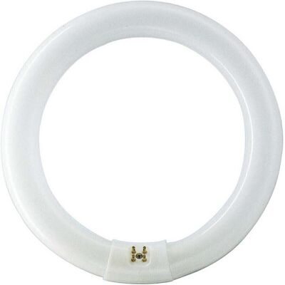 Philips Leuchtmittel, Leuchtstofflampe TL-E (G10q, 2375 lm, 1x) Philips Leuchtmittel, Leuchtstofflampe TL-E (G10q, 2375 lm, 1x)