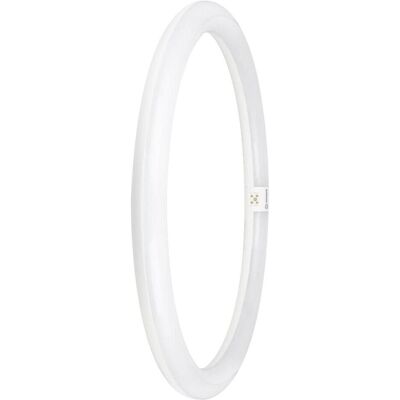 Ledvance, Leuchtmittel, LED-Ring-TubeT9C (G10q, 2200 lm, 1x) Ledvance, Leuchtmittel, LED-Ring-TubeT9C (G10q, 2200 lm, 1x)
