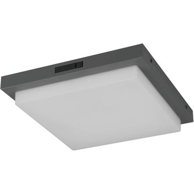 Trio, Gartenbeleuchtung, Leuchten LED Aussen Hausnummerleuchte Bermejo 630369242, Aluminium Druckguss Anthrazit, Kunststo (1450 lm, IP54) Trio, Gartenbeleuchtung, Leuchten LED Aussen Hausnummerleuchte Bermejo 630369242, Aluminium Druckguss Anthrazit, Kunststo (1450 lm, IP54)