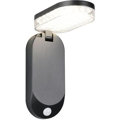 Reality, Gartenbeleuchtung, R23176102 Lagoas LED Wandleuchte 3W Schwarz IP44 warmweiss (IP44) Reality, Gartenbeleuchtung, R23176102 Lagoas LED Wandleuchte 3W Schwarz IP44 warmweiss (IP44)