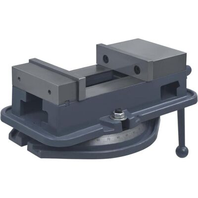 vidaXL Drehbare Bankschroef 360° Gusseisen 160mm - Drehbank vidaXL Drehbare Bankschroef 360° Gusseisen 160mm - Drehbank