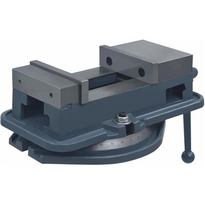 vidaXL Drehbare Bankschroef 360° Gusseisen 160mm - Drehbank vidaXL Drehbare Bankschroef 360° Gusseisen 160mm - Drehbank