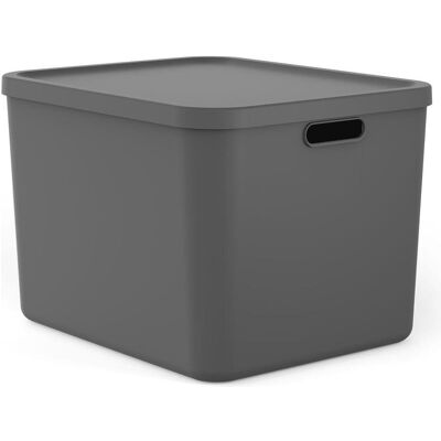 Rotho, Aufbewahrungsbox, Kunststoff AG / Sp. z o.o. Multibox 55 l ALBULA (55 l) Rotho, Aufbewahrungsbox, Kunststoff AG / Sp. z o.o. Multibox 55 l ALBULA (55 l)