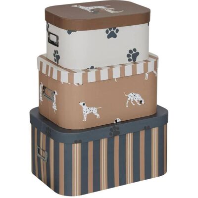 Atmosphera, Aufbewahrungsbox, Pudełka kartonowe ozdobne DOG, 3 kuferki (3x) Atmosphera, Aufbewahrungsbox, Pudełka kartonowe ozdobne DOG, 3 kuferki (3x)