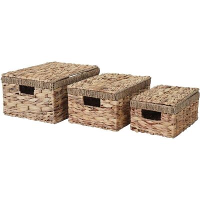 MCW C23 Wasserhyazinthe Aufbewahrungsbox - Aufbewahrungsbox MCW C23 Wasserhyazinthe Aufbewahrungsbox - Aufbewahrungsbox