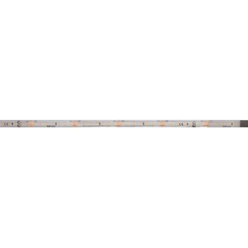 Dotlux, LED Streifen, 3943-040IP665M (500 cm)