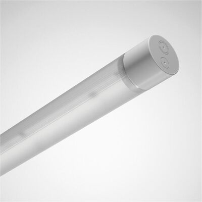 TRILUX - 7981951 - 4000K - IP66 - Deckenleuchte TRILUX - 7981951 - 4000K - IP66 - Deckenleuchte