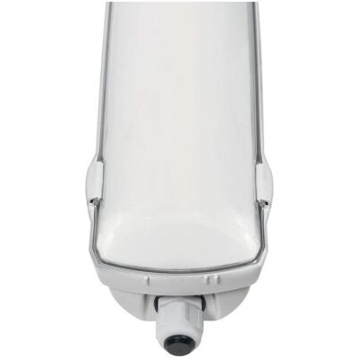 DOTLUX LED-Feuchtraumleuchte MISTRALbasic IP66 1500mm Max 54W 4000K Gefrostet - Fluter DOTLUX LED-Feuchtraumleuchte MISTRALbasic IP66 1500mm Max 54W 4000K Gefrostet - Fluter