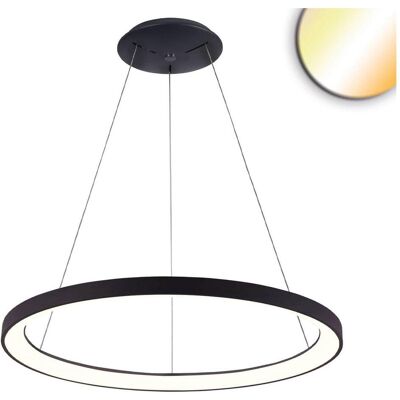 ISOLED Hängeleuchte Orbit - Dimmbare, 48W, Schwarz, 580mm ISOLED Hängeleuchte Orbit - Dimmbare, 48W, Schwarz, 580mm