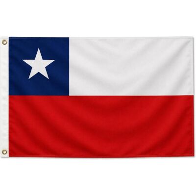 trends4cents, Fahne, Flagge Chile 90 x 150 cm Fahne mit 2 Ösen 100g/m² Stoffgewicht Hissflagge für Mast (90 x 150 cm) trends4cents, Fahne, Flagge Chile 90 x 150 cm Fahne mit 2 Ösen 100g/m² Stoffgewicht Hissflagge für Mast (90 x 150 cm)