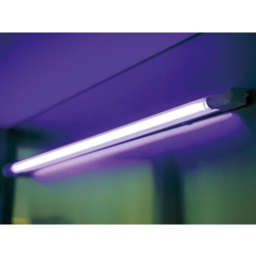 Perel Tierfalle, GIK08LAMP, Leuchtmittel zu GIK08