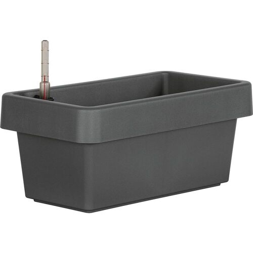 5x Geli, Blumentopf, Blumenkasten Viva 40 anth (21.20 cm)