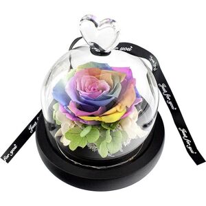 JTI, Kunstpflanzen, Kleine Rose im Glasglocke - Regenbogenfarben (16 cm) JTI, Kunstpflanzen, Kleine Rose im Glasglocke - Regenbogenfarben (16 cm)