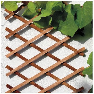 Bellissa Pflanzen Zubehör, Holz-Scherenspalier (45 cm, 45 cm) Bellissa Pflanzen Zubehör, Holz-Scherenspalier (45 cm, 45 cm)