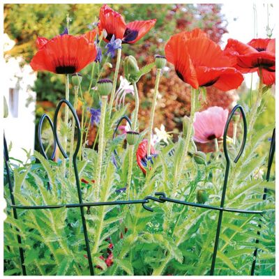 Bellissa Pflanzen Zubehör, Staudengitter (40 cm) Bellissa Pflanzen Zubehör, Staudengitter (40 cm)