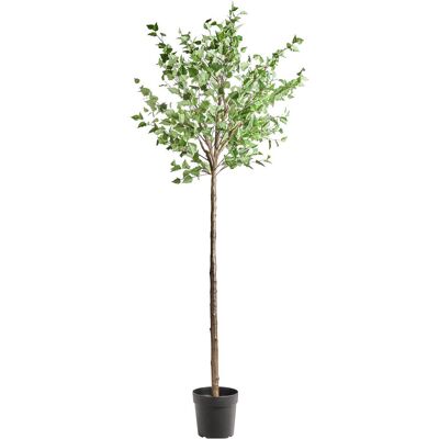 House Doctor, Kunstpflanzen, Artificial plant, HDHornbeam, Green, Purple (235 cm) House Doctor, Kunstpflanzen, Artificial plant, HDHornbeam, Green, Purple (235 cm)