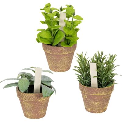 Viana, Kunstpflanzen, Kräutertopf künstlich mit dekorativen Kräutern 3er Set (15 cm) Viana, Kunstpflanzen, Kräutertopf künstlich mit dekorativen Kräutern 3er Set (15 cm)