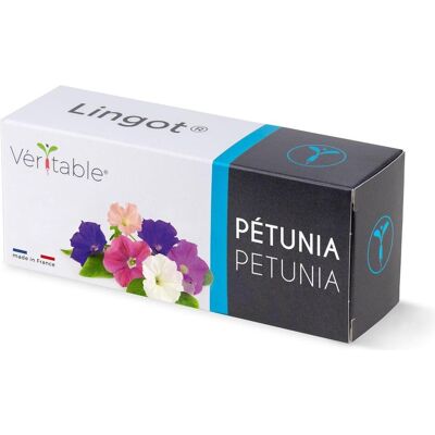 Véritable, Samen, Zwergpetunie (Blumensamen) Véritable, Samen, Zwergpetunie (Blumensamen)