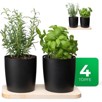 Novaliv, Blumentopf, Stilvolle Kräuterstation 4er Set mit Holzunterlage und 4 Kräutertöpfe für Jede Fensterbank (29 x 14 x 14.50 cm) Novaliv, Blumentopf, Stilvolle Kräuterstation 4er Set mit Holzunterlage und 4 Kräutertöpfe für Jede Fensterbank (29 x 14 x 14.50 cm)