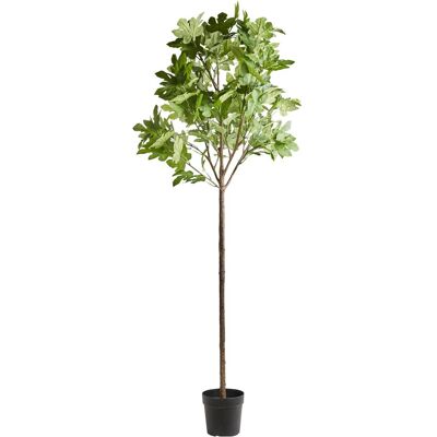 House Doctor, Kunstpflanzen, Artificial plant, HDFig, Green (230 cm) House Doctor, Kunstpflanzen, Artificial plant, HDFig, Green (230 cm)