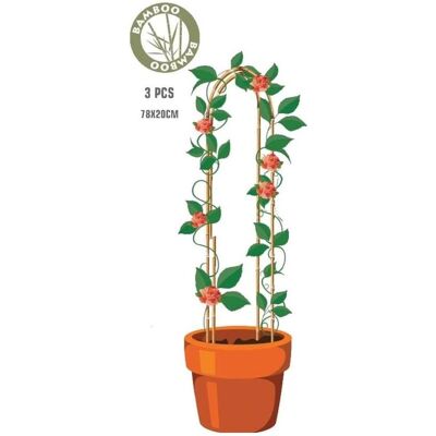 ProGarden, Pflanzen Zubehör, Podpora Do Roślin Bambusowa Pałąk 3szt (24 cm) ProGarden, Pflanzen Zubehör, Podpora Do Roślin Bambusowa Pałąk 3szt (24 cm)