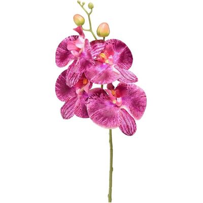 Magni, Kunstpflanzen, Kunstblume Orchidee Real Touch violett 66cm (66 cm) Magni, Kunstpflanzen, Kunstblume Orchidee Real Touch violett 66cm (66 cm)