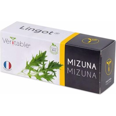 Véritable, Samen, Lingot Mizuna BIO (Gemüsesamen) Véritable, Samen, Lingot Mizuna BIO (Gemüsesamen)