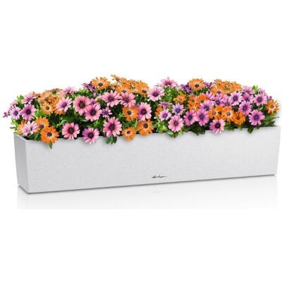 Lechuza, Blumentopf, BALCONERA Stone 100 (19 x 19 x 40 cm) Lechuza, Blumentopf, BALCONERA Stone 100 (19 x 19 x 40 cm)