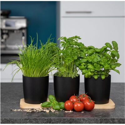 Novaliv, Blumentopf, Stilvolle Kräuterstation 9er Set mit Holzunterlage - Kräutertopf für jede Fensterbank, Für f (43.50 x 14 x 14.50 cm) Novaliv, Blumentopf, Stilvolle Kräuterstation 9er Set mit Holzunterlage - Kräutertopf für jede Fensterbank, Für f (43.50 x 14 x 14.50 cm)