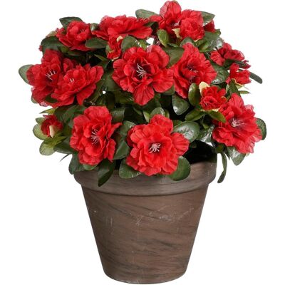 Mica Decorations, Kunstpflanzen, Azalee Kunstpflanze im Blumentopf Stan - H31 x Ø26 cm - Rot (31 cm) Mica Decorations, Kunstpflanzen, Azalee Kunstpflanze im Blumentopf Stan - H31 x Ø26 cm - Rot (31 cm)
