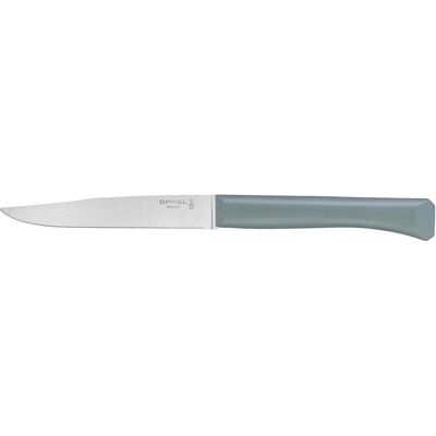 Opinel BON APPETIT+ Tafelmesser, Besteck, Grün Opinel BON APPETIT+ Tafelmesser, Besteck, Grün
